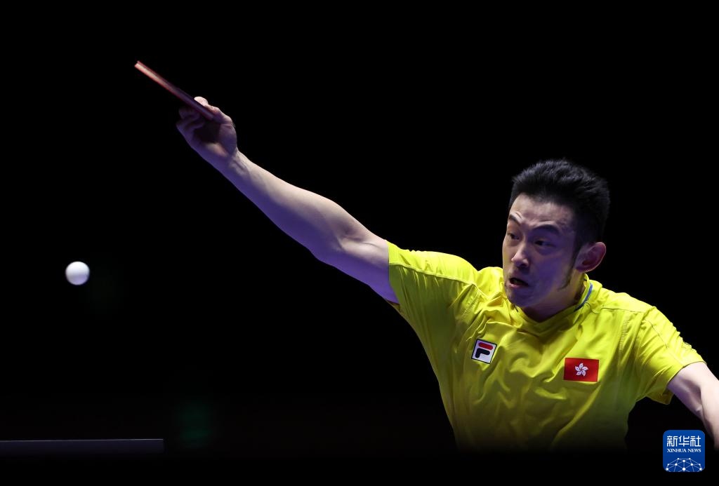 手道的共通 手道的共通